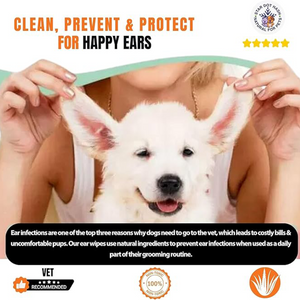 Pet Ear Wipes for Dogs and Cats