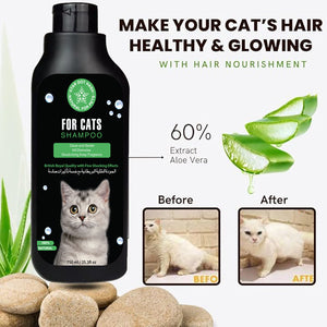 Award winning cat shampoo